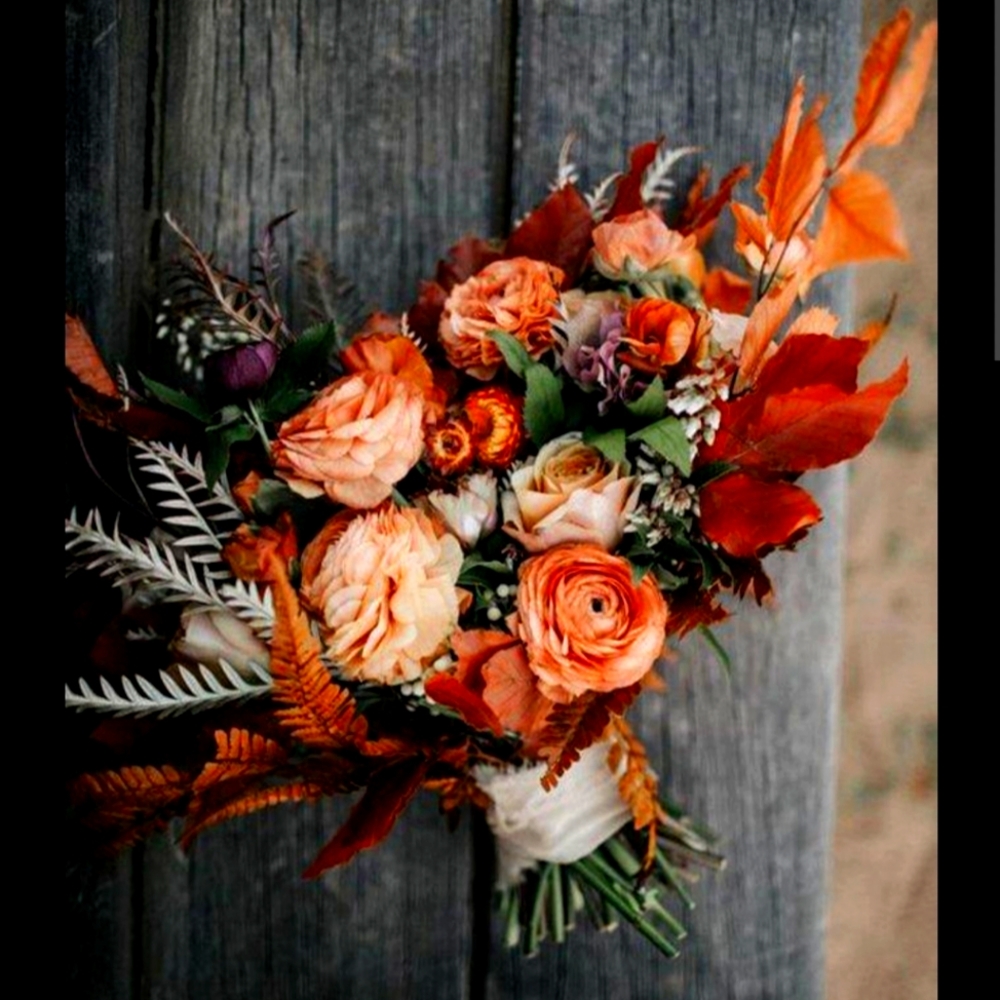 Meet your Posher, Nina